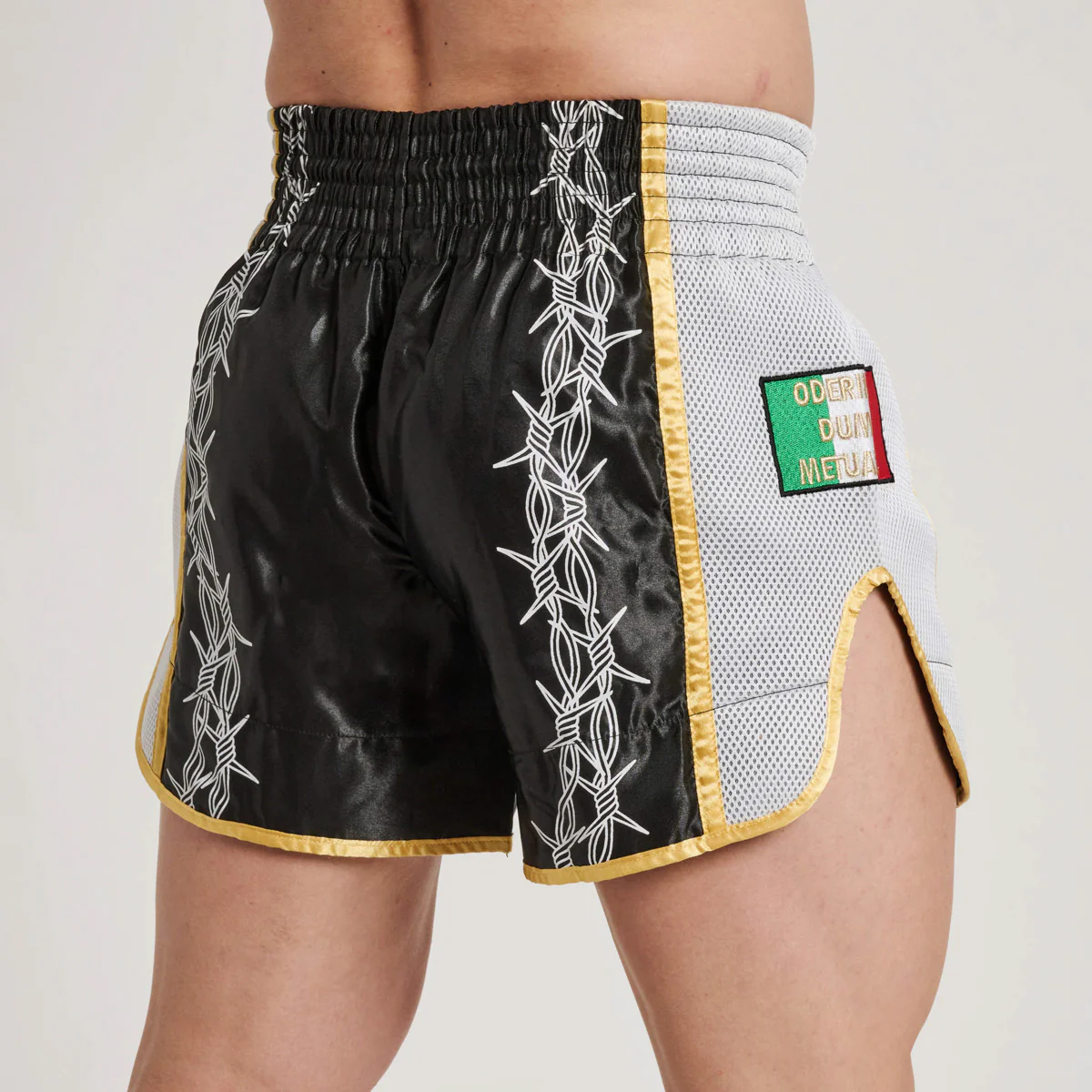 Pantalones cortos kick-tailandés Leone IUTER Barbed Wire AB05IU Nero - Image 4